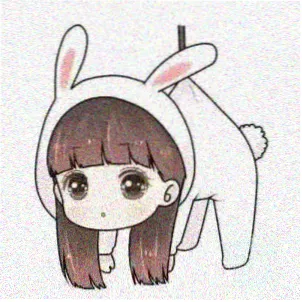 野性向导
